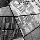 Luftbild 1953.  Historische Luftbilder 1953, DOP100, Gebiet Land Brandenburg.  © GeoBasis-DE/LGB 2017/ Historisches Luftbild des Versuchsschlages mit kleinteiliger Landnutzung in 1953